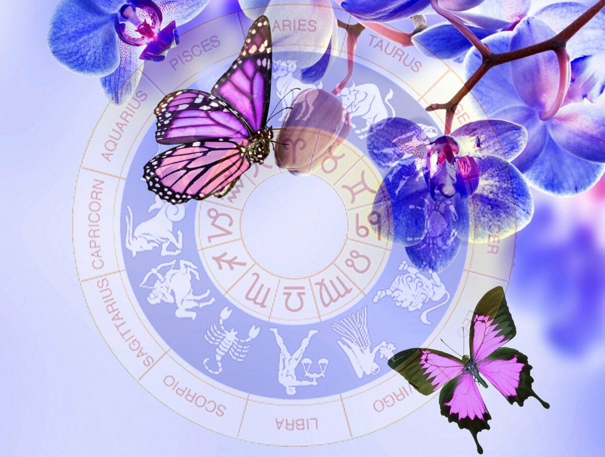 «Прогноз -Март(каждый знак»