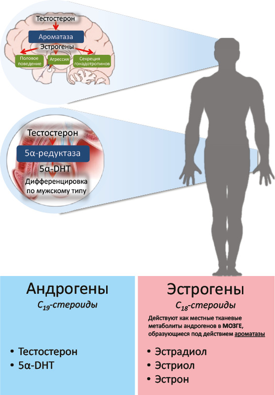 Что есть любовь- к которой так все стремятся.