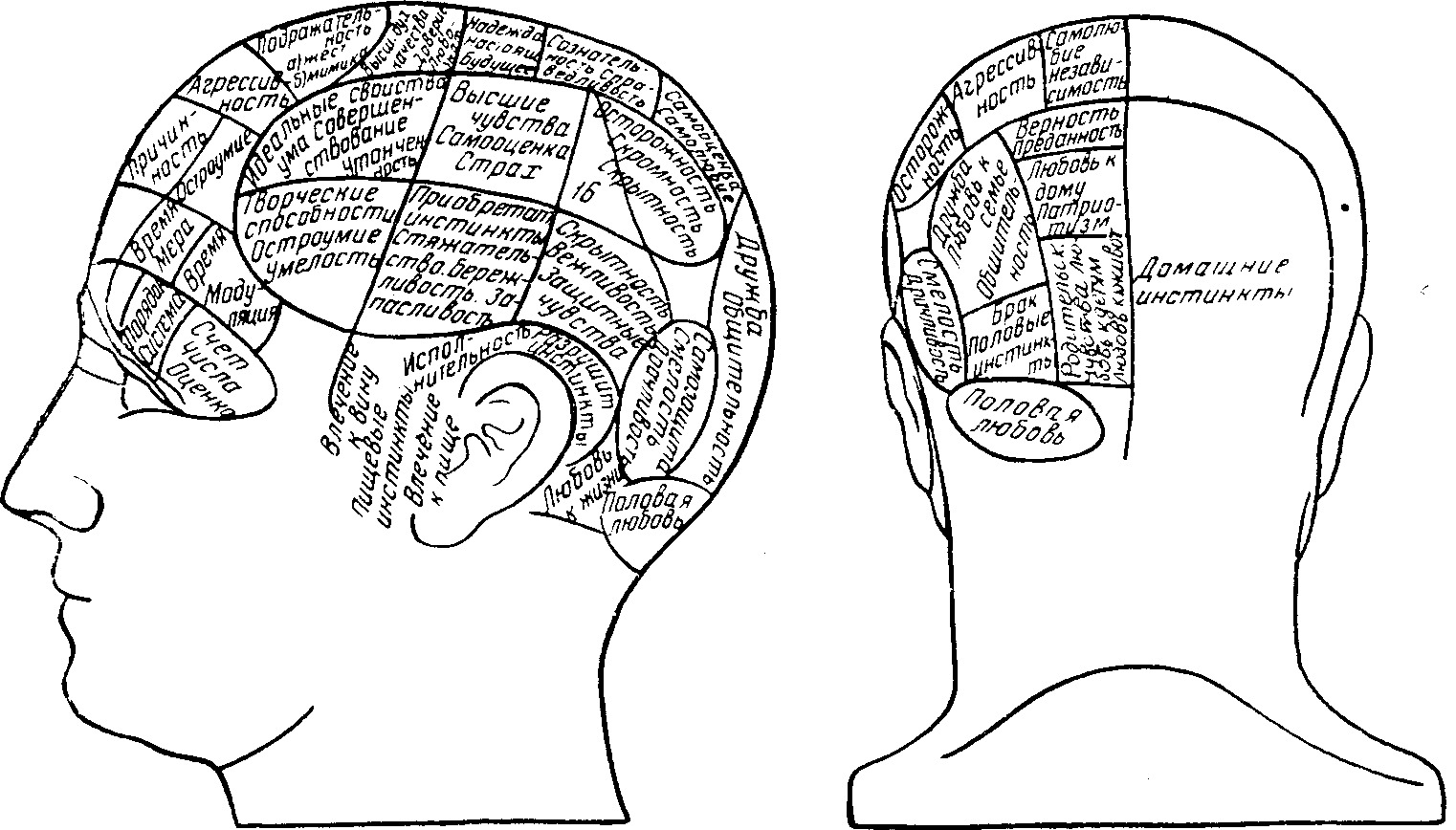 Brain zones