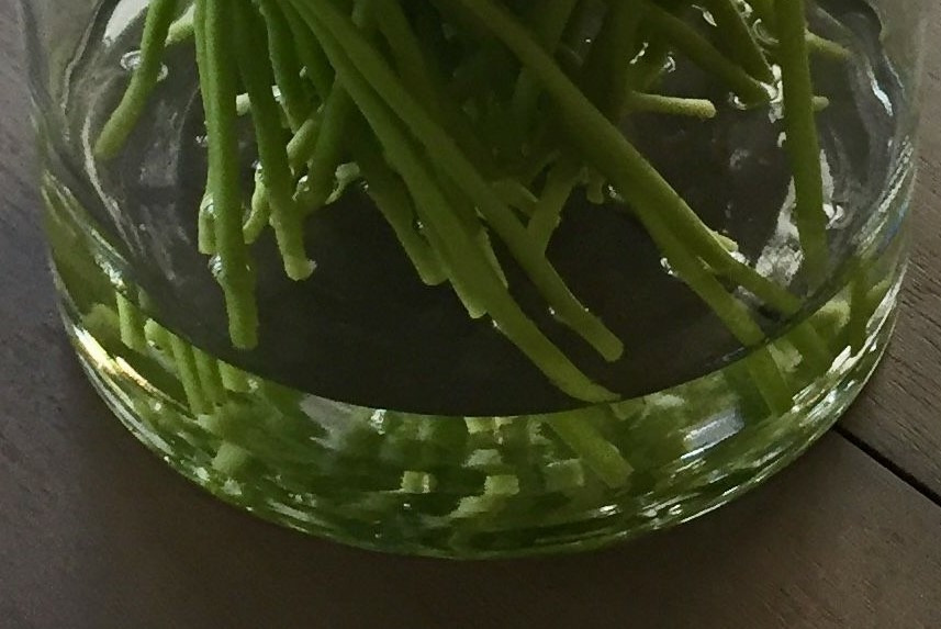 Как мне самой снять приворот с любимого? На нем приворот.