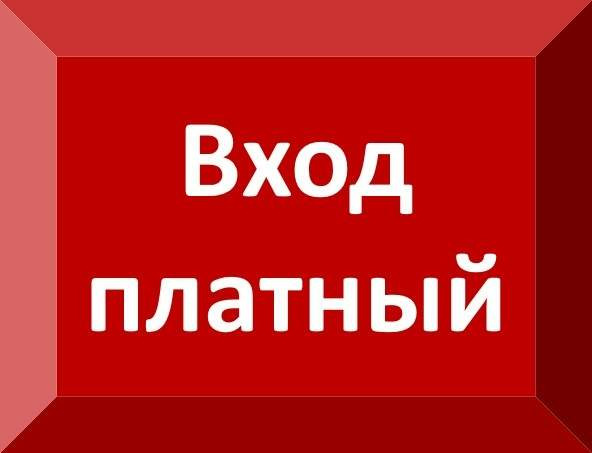 Чат первого эксперта и рубрика бесплатных вопросов: в чём разница?